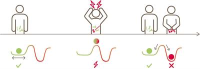 Gut Microbiota Resilience: Definition, Link to Health and Strategies for Intervention